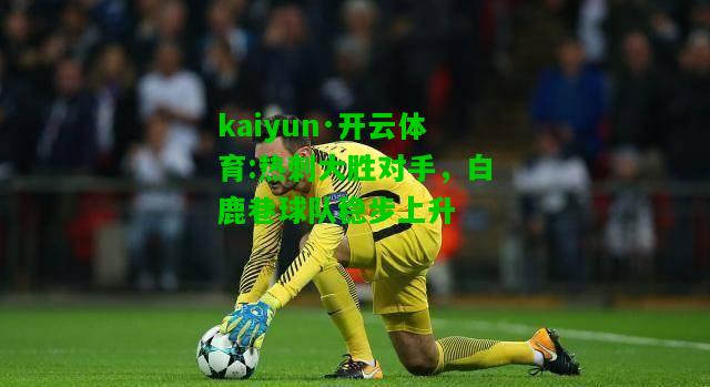 kaiyun·开云体育:热刺大胜对手，白鹿巷球队稳步上升