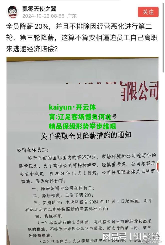 kaiyun·开云体育:辽足客场憾负河北精品保级形势举步维艰