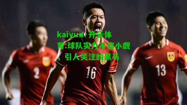 kaiyun·开云体育:球队实力不容小觑，引人关注的黑马